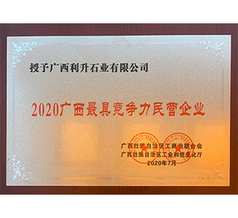 2020廣西最具競爭力民營企業(yè)