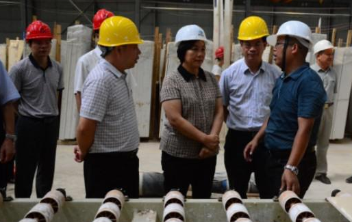 時任廣西壯族自治區(qū)科技廳黨組書記黃丹蒞臨利升石業(yè)司調(diào)研