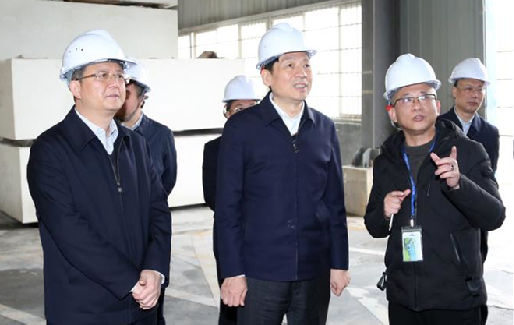 廣西壯族自治區(qū)黨委副書記孫大偉一行蒞臨西利升石調(diào)研